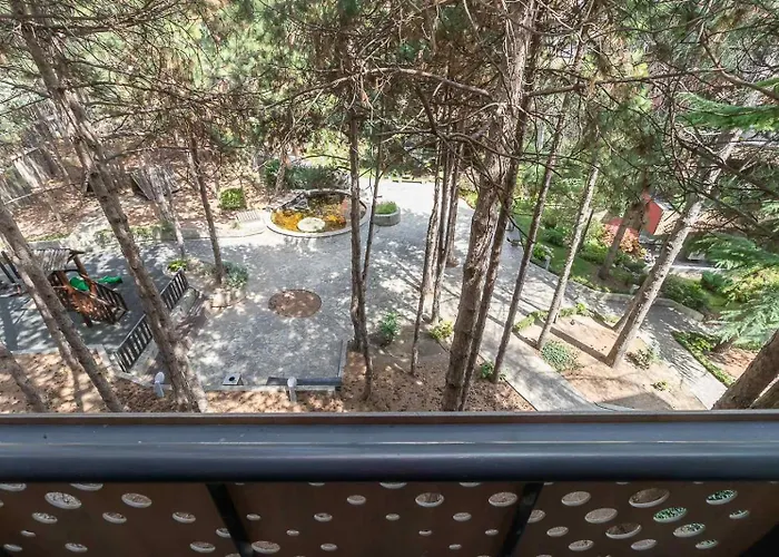 Comfort Happy Briz, Aquarelle With Security וארנה